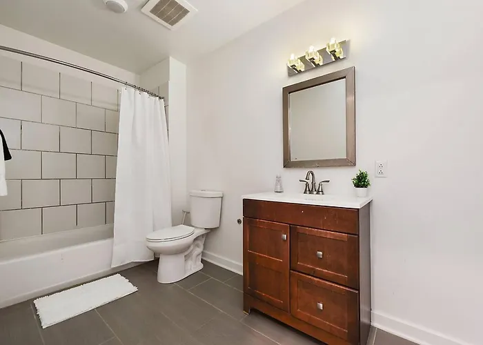 1 Bedroom Downtown With Roof View Apartment